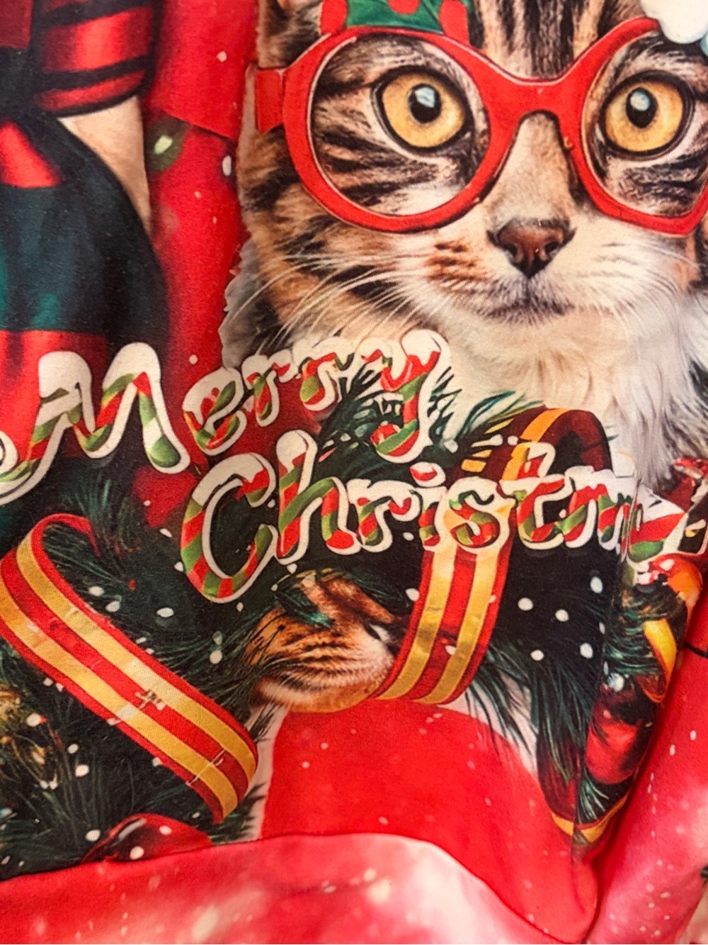 Funny Christmas Red Sweater/ Sweatshirt. Dog Sunglasses Cat Glasses. Unisex L - Picture 4 of 7